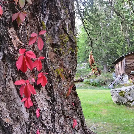Appartement Chalet Svizzero Val Ferret *